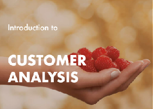 Introduction to Customer Analysis